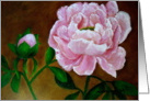 Peonies card