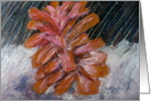 Pinecone In Winter card
