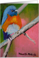 Bluebird-Birthday card