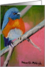 Bluebird-Birthday card