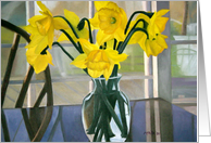 Daffodils-Sympathy
