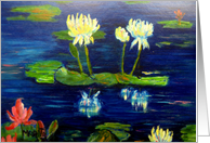 Water Lilies - Thank...