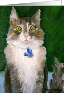 Beautiful Cat-any occasion card