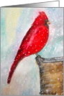 Cardinal- Holiday Card