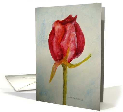 Rosebud-blank inside card (778363)