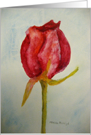 Rosebud-blank inside card