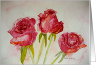 Roses-blank inside card