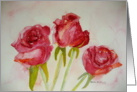 Roses-blank inside card