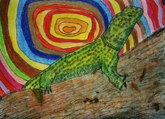 Colorful Lizard -...