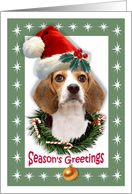 Beagle Dog Season’s Greetings card