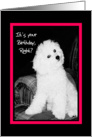 It’s your Birthday, right? - dog with questioning look card