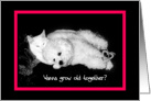 Love, Romance - Wanna grow old together? Dog & Cat card