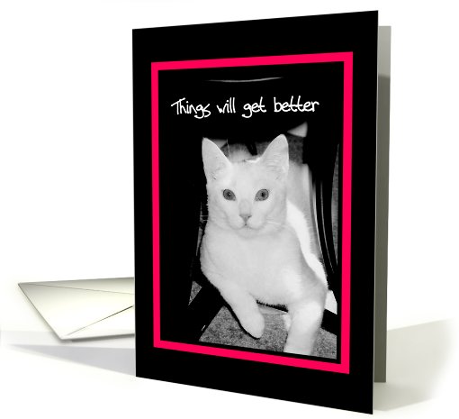 Encouragement - Things will get better - serious-looking cat card