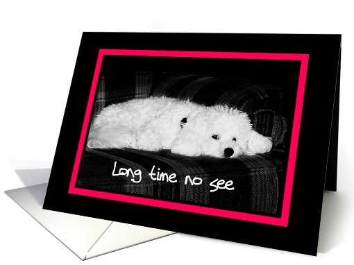 Long time no see - Very sad dog card (607463)