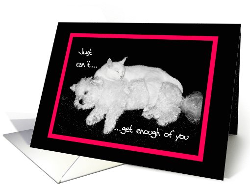 Love, Romance - Just can't get enough of you - Cat & Dog card (607466)