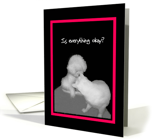 Is everything okay?  - cat & dog card (607472)