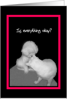 Is everything okay? - cat & dog card