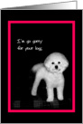 Sympathy - I’m so sorry for your loss - Sad faced dog card
