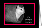 I’m sending up my prayers - Cat looking heavenward card