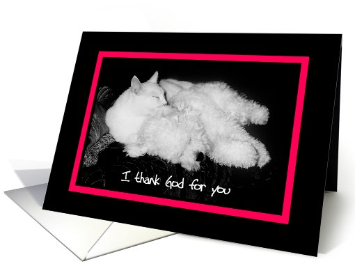 I thank God for you - Cat & Dog card (611668)