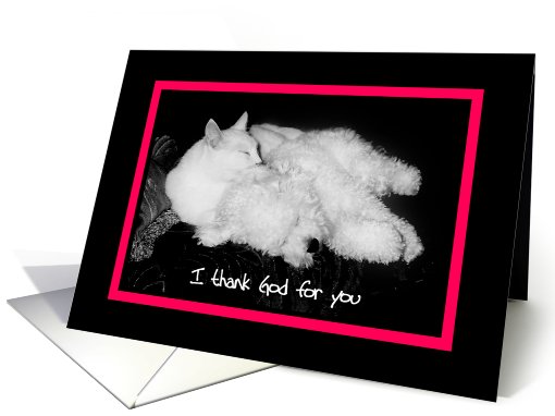 I thank God for you - Happy Anniversary - Cat & Dog card (611673)