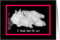 I thank God for you - Happy Anniversary - Cat & Dog card