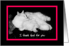 I thank God for you - Happy Anniversary - Cat & Dog card