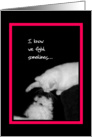 I know we fight sometimes - Cat & Dog card