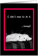 I didn’t mean to do it...Honest - Sad dog card