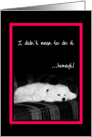 I didn’t mean to do it...Honest - Sad dog card