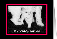 He’s watching over you - Dog & Kitten card