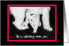 He’s watching over you - Dog & Kitten card