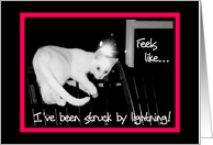 Feels like I’ve been struck by Lightening, kitten climbing chair card