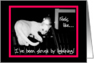 Feels like I’ve been struck by Lightening, kitten climbing chair card