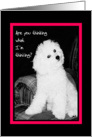 Love & Romance, Your Place or Mine, Cute Dog card