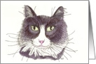Sympathy, Loss of Cat, Black and White card