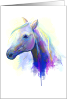 Abstract multi-coloured head horse.Blank Note card
