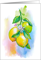 Lemons watercolor Blank Note card