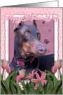 Happy Mother’s Day Doberman Dog in Pink Tulips card