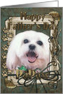 Happy Father’s Day Dad - Maltese - Stone Paws card