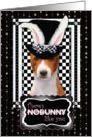 There’s NoBunny Like You Easter Card - Basenji card