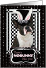 There’s NoBunny Like You Easter Card - Boston Terrier card