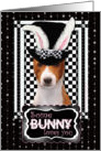 Some Bunny Loves You Easter Card - Basenji card