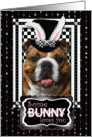 Some Bunny Loves You Easter Card - Bulldog card