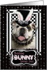 Some Bunny Loves You Easter Card - Bulldog card