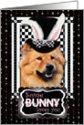 Some Bunny Loves You Easter Card - Chow Chow card