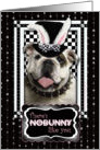 There’s NoBunny Like You Easter Card - Bulldog card