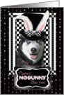 There’s NoBunny Like You Easter Card - Siberian Husky card