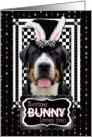 Some Bunny Loves You Easter Card - Greater Swiss Mountain Dog card