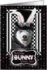 Some Bunny Loves You Easter Card - Siberian Husky card